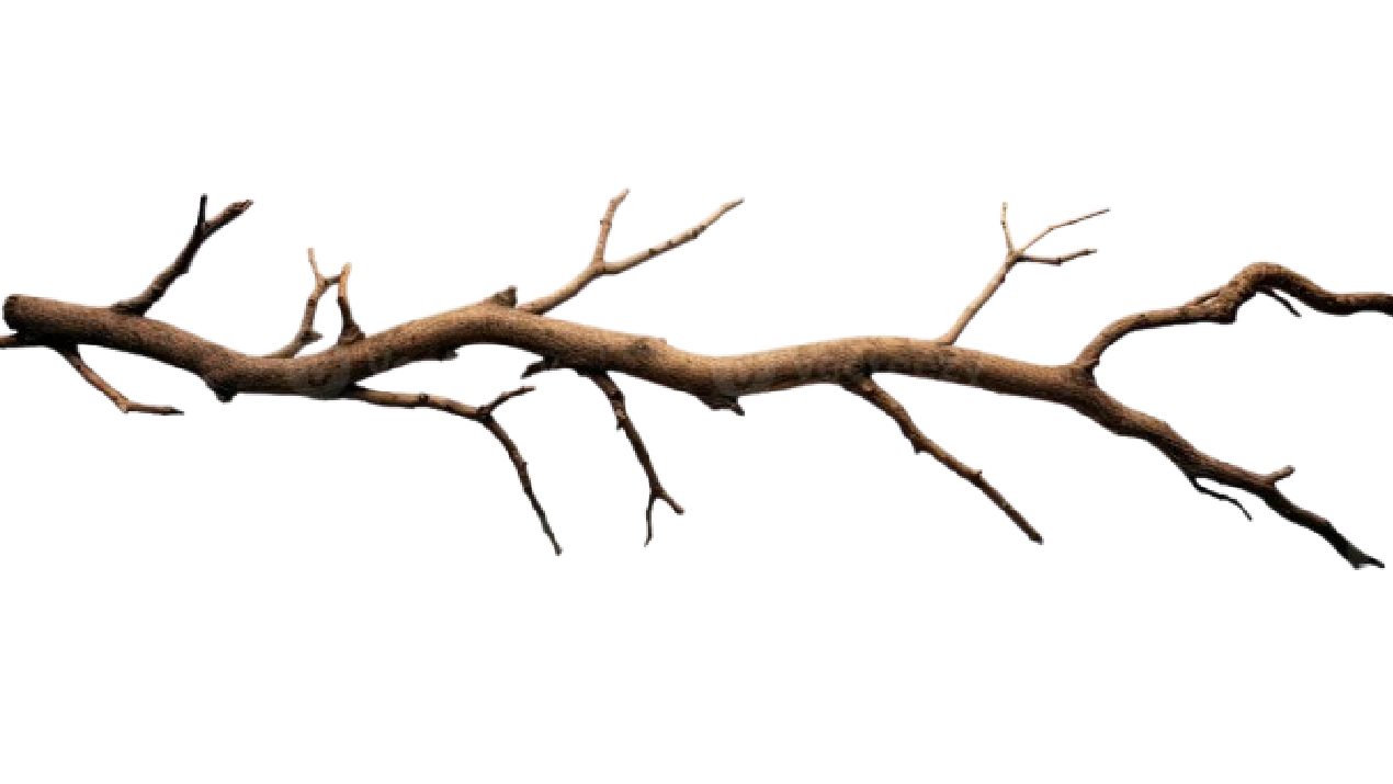 Git Branching Overview