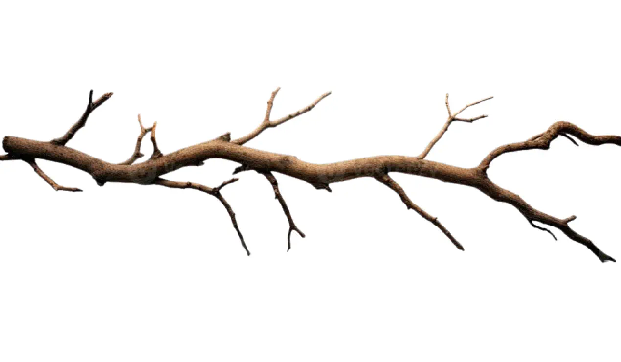 Git Branching Overview